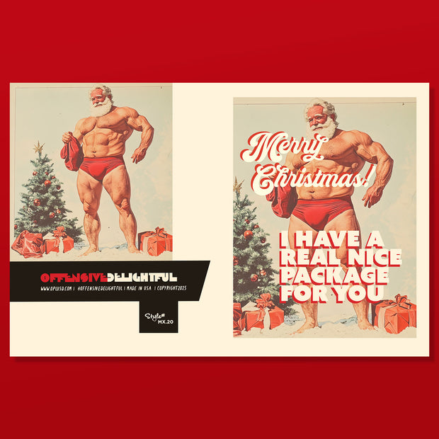 MX20 NICE PACKAGE SANTA