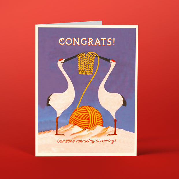 BB02 Storks Congrats - Offensive+Delightful Cards