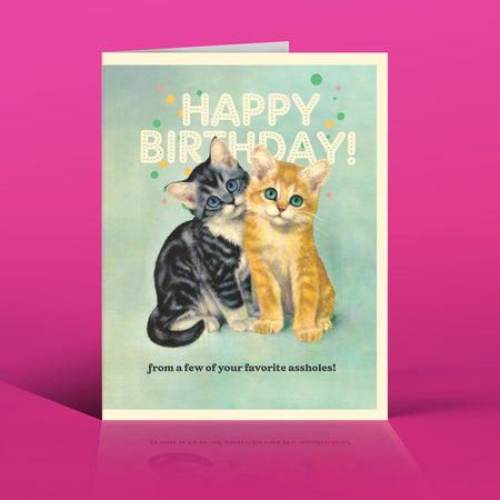 KITTENS ASSHOLES! birthday card