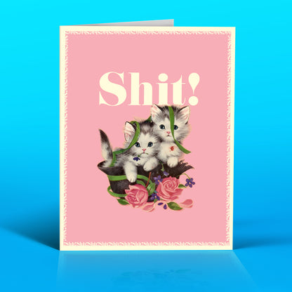 SHIT! kittens