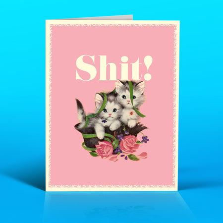 SHIT! kittens