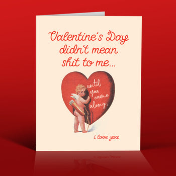 VL13 VALENTINE don't mean SH@#!