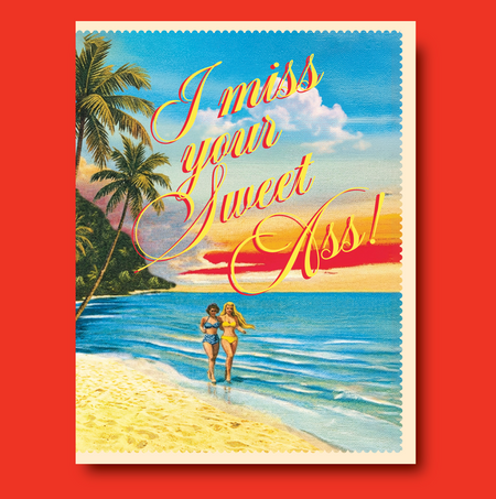 MISS ASS - Style FN37 Friendship Card