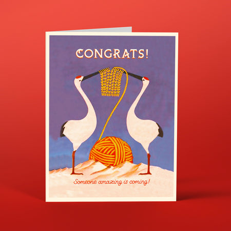 BB02 Storks Congrats - Offensive+Delightful Cards