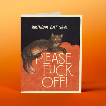 BD58 Birthday Cat - Offensive+Delightful Cards